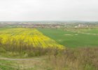 rohledna Stříbrník  Jižní panorama s výhledem na DObroměřice a Louny. : panorama, pohled z výšky