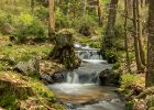 Harrachov - den třetí  výprava k vodopádu Kamenice : voda