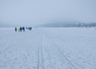 Lyžování na Lipně 2017  ledová běžkařská dráha, že by pro Áju?
