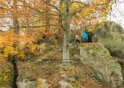 Malá Skála - den druhý  zřícenina skalního hradu Vranov : Malá skála, _CK-Lenka, podzim