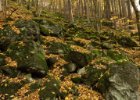 Malá Skála - den třetí  naučná stezka p. Riegra údolím Jizery : Malá skála, _CK-Lenka, podzim