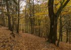 Malá Skála - den čtvrtý  dopolední procházka na vyhlídkové místo nad Líšný : Malá skála, _CK-Lenka, podzim