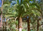 Gran Canaria : krajina