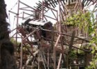 Disneyland Disneyland - atrakce : zábava