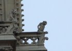 kostel  Notre Damme : Notre Damme, architektura, chrlič, kostel, pomník, pomník-socha, socha