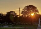 Západ slunce z Tuilerijských zahrad : Eifellova věž, Paříž 2021, architektura, kategorie, věž, západ slunce