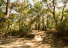 Rhodos 2012  7 springs (Efta Piges) - nejrásnější, svěží část ostrova. Údajných 7 pramenů tu dává vláhu krásnému kousku ostrova.