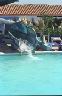 ibiza_aquapark_12.jpg