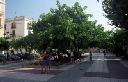 ibiza_mesto_09.jpg