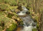 Harrachov - den třetí  výprava k vodopádu Kamenice : voda