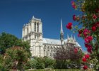 Paříž 2017  Katedrála Notre-Dame Cathédrale Notre-Dame de Paris : Paříž 2017