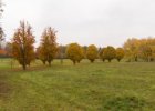 Podzimní Průhonice 2015