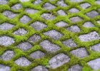 20040828-003 : macro-detail