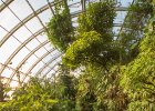 Botanická zahrada Troja  skleník Fata Morgana