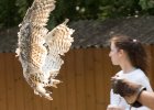 Zoo Liberec : _moje, bečka, bečka s dětma, pták, zoo