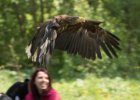 Zoo Liberec : _moje, bečka, bečka s dětma, pták, zoo