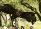 Zoo Liberec : _moje, bečka, bečka s dětma, pták, zoo